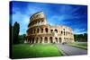 Colosseum in Rome, Italy-Iakov Kalinin-Stretched Canvas