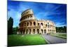 Colosseum in Rome, Italy-Iakov Kalinin-Mounted Photographic Print