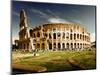 Colosseum in Rome, Italy-Iakov Kalinin-Mounted Photographic Print