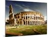 Colosseum in Rome, Italy-Iakov Kalinin-Mounted Photographic Print