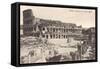 Colosseum in Rome with Meta Sudans, Ruins-null-Framed Stretched Canvas