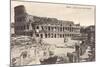 Colosseum in Rome with Meta Sudans, Ruins-null-Mounted Art Print