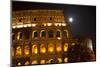 Colosseum Large Moon Details, Rome, Italy Built by Vespacian-William Perry-Mounted Photographic Print