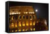 Colosseum Large Moon Details, Rome, Italy Built by Vespacian-William Perry-Framed Stretched Canvas