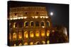 Colosseum Large Moon Details, Rome, Italy Built by Vespacian-William Perry-Stretched Canvas