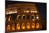 Colosseum Moon in the Window Close-Up Details, Rome, Italy Built by Vespacian-William Perry-Mounted Photographic Print