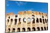 Colosseum or Flavian Amphitheatre, Rome, Latium, Italy, Europe-Nico Tondini-Mounted Photographic Print