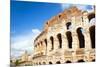 Colosseum or Flavian Amphitheatre, Rome, Latium, Italy, Europe-Nico Tondini-Mounted Premium Photographic Print