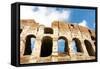 Colosseum or Flavian Amphitheatre, Rome, Latium, Italy, Europe-Nico Tondini-Framed Stretched Canvas