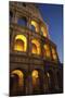 Colosseum or Flavian Amphitheatre-null-Mounted Photo