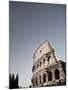 Colosseum, Rome, Italy-Michele Falzone-Mounted Photographic Print