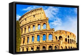 Colosseum. Rome, Italy-sorincolac-Framed Stretched Canvas