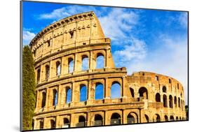 Colosseum. Rome, Italy-sorincolac-Mounted Photographic Print