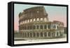 Colosseum, Rome, Italy-null-Framed Stretched Canvas