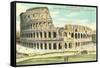 Colosseum, Rome, Italy-null-Framed Stretched Canvas