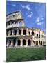 Colosseum Ruins, Rome, Italy-Bill Bachmann-Mounted Photographic Print