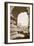 Colosseum Seen through the Arch of Titus-null-Framed Photographic Print