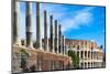 Colosseum,The Flavian Amphitheatre Seen from Forum-David Ionut-Mounted Photographic Print