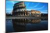 Colosseum-null-Mounted Photographic Print