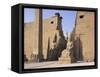 Colossi of Rameses II, Luxor Temple, Luxor, Unesco World Heritage Site, Thebes, Egypt-Peter Scholey-Framed Stretched Canvas