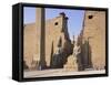 Colossi of Rameses II, Luxor Temple, Luxor, Unesco World Heritage Site, Thebes, Egypt-Peter Scholey-Framed Stretched Canvas