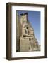 Colossi of Ramses Ii, Luxor Temple, Luxor, Thebes, Egypt, North Africa, Africa-Richard Maschmeyer-Framed Photographic Print