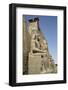 Colossi of Ramses Ii, Luxor Temple, Luxor, Thebes, Egypt, North Africa, Africa-Richard Maschmeyer-Framed Photographic Print