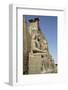 Colossi of Ramses Ii, Luxor Temple, Luxor, Thebes, Egypt, North Africa, Africa-Richard Maschmeyer-Framed Photographic Print