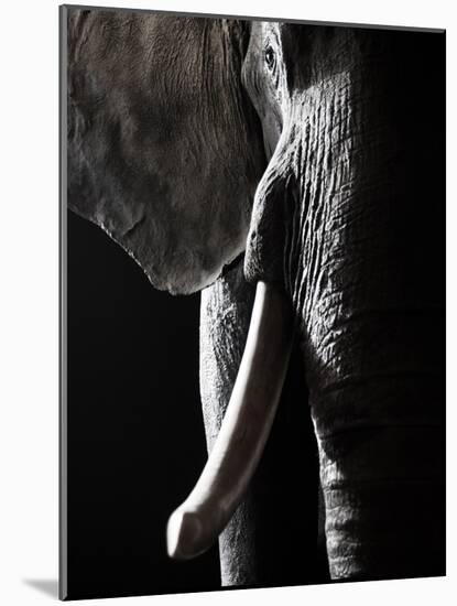 Colossus-Bruno Abarco-Mounted Photographic Print