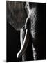 Colossus-Bruno Abarco-Mounted Photographic Print