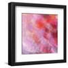 Colour and flower-Claire Westwood-Framed Art Print