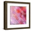 Colour and flower-Claire Westwood-Framed Art Print