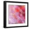 Colour and flower-Claire Westwood-Framed Art Print