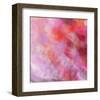 Colour and flower-Claire Westwood-Framed Art Print