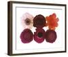 Colour Cluster I-Katja Marzahn-Framed Giclee Print