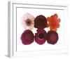 Colour Cluster I-Katja Marzahn-Framed Giclee Print