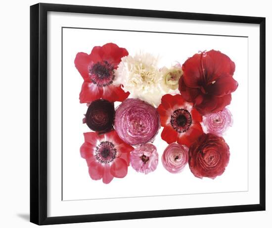 Colour Cluster II-Katja Marzahn-Framed Giclee Print