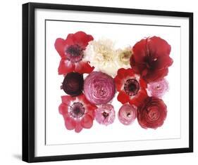 Colour Cluster II-Katja Marzahn-Framed Giclee Print