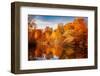 Colour Explosion-Philippe Sainte-Laudy-Framed Photographic Print