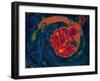 Colour Fest 1-Rabi Khan-Framed Art Print