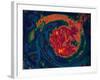 Colour Fest 1-Rabi Khan-Framed Art Print