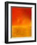 Colour Field-Ruth Palmer 2-Framed Art Print