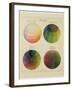 Colour Globes for Copper, Aquatint and Watercolour-Philipp Otto Runge-Framed Premium Giclee Print