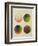 Colour Globes for Copper, Aquatint and Watercolour-Philipp Otto Runge-Framed Giclee Print