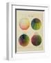 Colour Globes for Copper, Aquatint and Watercolour-Philipp Otto Runge-Framed Giclee Print