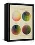 Colour Globes for Copper, Aquatint and Watercolour-Philipp Otto Runge-Framed Stretched Canvas