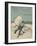 Colour Illustrated Cover Showing a Boy Scout Watching a Ship On the Horizon-null-Framed Giclee Print