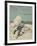 Colour Illustrated Cover Showing a Boy Scout Watching a Ship On the Horizon-null-Framed Giclee Print