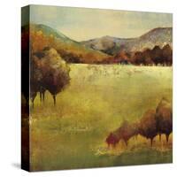 Colour Of Fall II-Georgie-Stretched Canvas