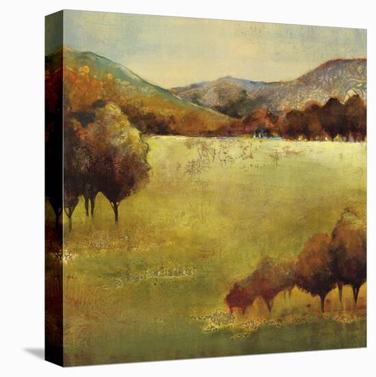 Colour Of Fall II-Georgie-Stretched Canvas